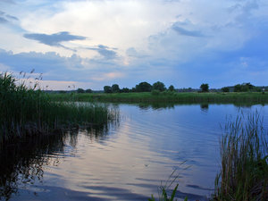 IMG_1750.jpg