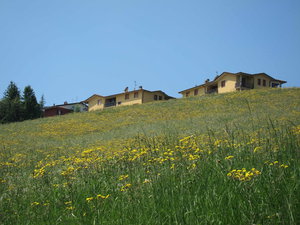 DPP_0045.JPG