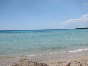 DPP_0054.JPG