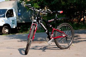 IMG_1433.jpg