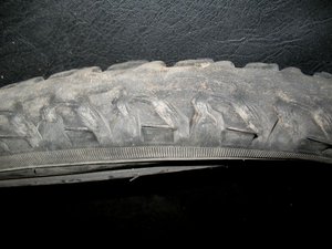 IMG_1020.jpg