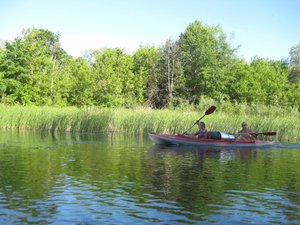 IMG_5719.jpg