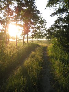 IMG_5758.jpg