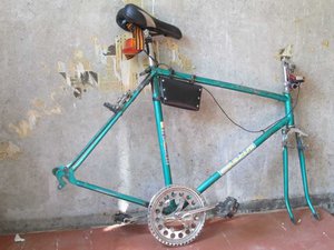 IMG_0740.jpeg