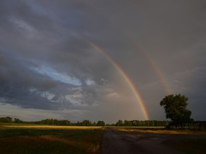 P5311860(2).jpg