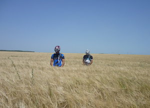 on the flat field.jpg