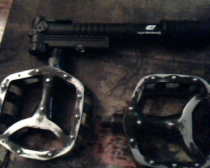Picture 1.jpg