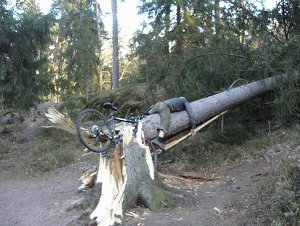 pri3_20080220_2090529140.jpg