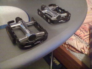 31072011173.JPG
