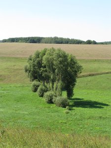 Шурра подметил