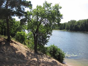 IMG_2122.JPG