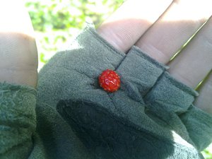 11082011214.jpg