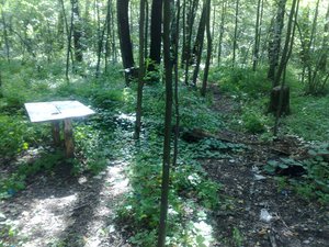 110820112727.jpg