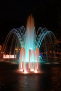 DSC01898.JPG
