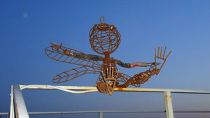 DSC01484.jpg