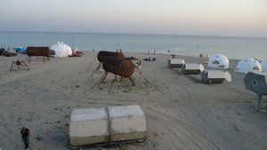 DSC01780.jpg