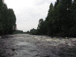 IMG_5359_resize.JPG