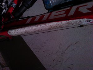 IMG_20110819_145215.jpg