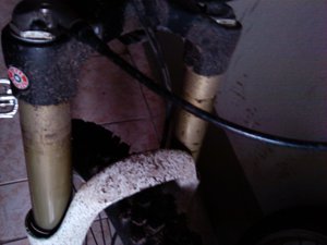 IMG_20110819_145306.jpg