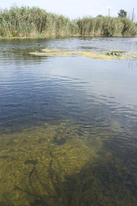 2011_08_15_3131_a.jpg