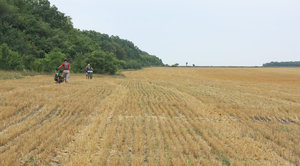 2011_08_16_3163_a.jpg