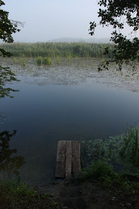 2011_08_18_3243_a.jpg