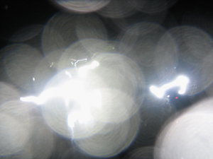 IMG_9664_resize_resize.JPG