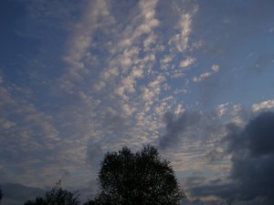 P8210047.jpg