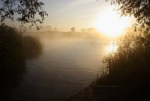IMG_5353.JPG