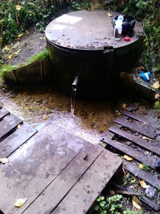IMG_20110904_152348.jpg