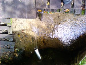 IMG_20110904_152416.jpg