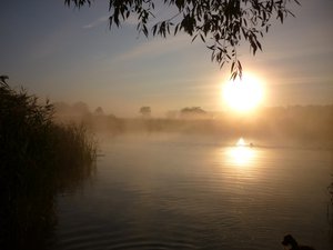 P1020049.JPG