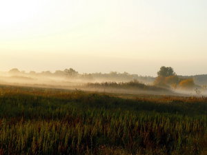 P1160176-2.jpg