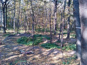 IMG_20111008_140047.jpg