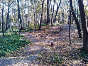 IMG_20111008_140309.jpg