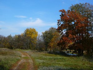 0910-1.jpg