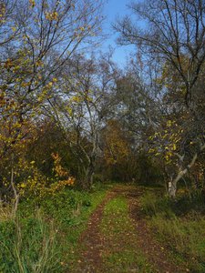 0910-2.jpg