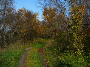 0910-4.jpg