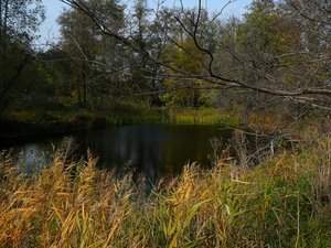 0910-5.jpg