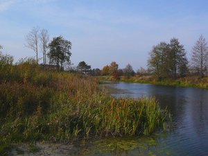 0910-6.jpg