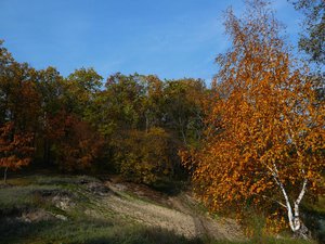 0910-7.jpg