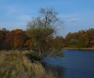 0910-8.jpg