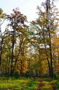 DSC_2699 1 мал.JPG