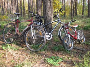 IMG_1893.JPG