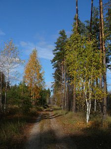 1710-2.jpg