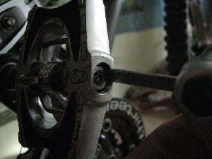 IMG_3334.jpg