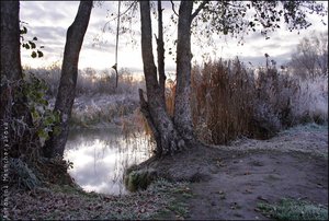 1(8).jpg