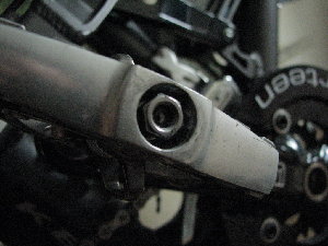IMG_3337.jpg
