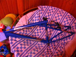 IMG_0441.JPG