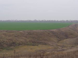 DSC01167_.jpg